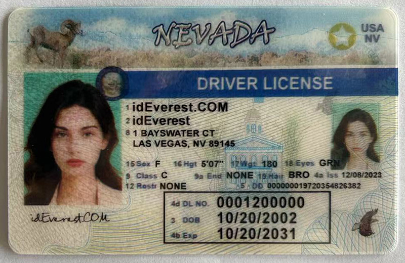 Fake Nevada ID Card