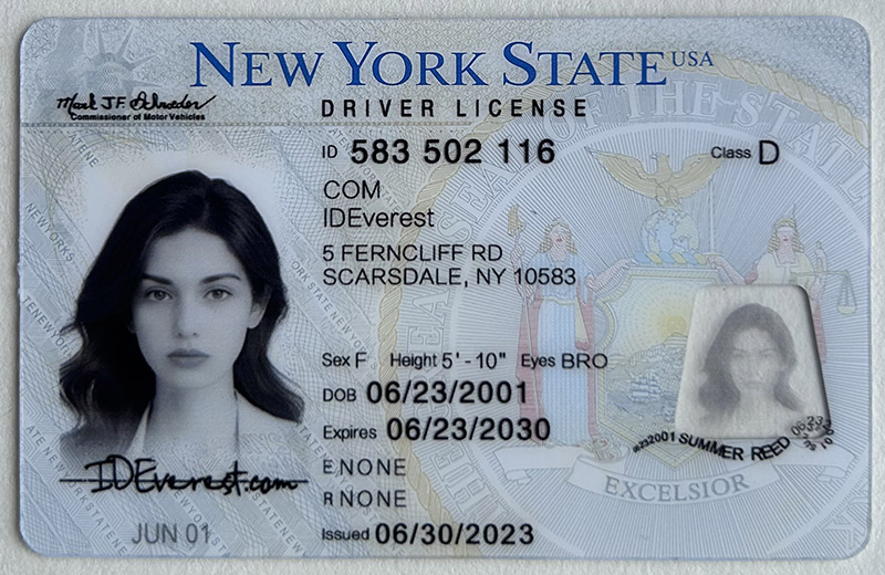 Fake New York City IDs: All th