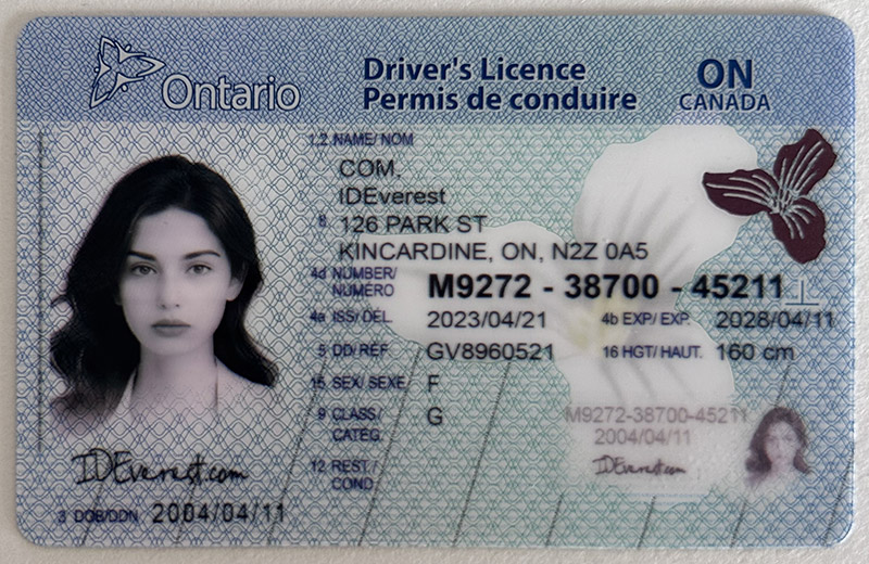 Scannable Fake Ontario Driver's License