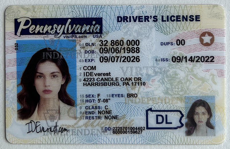 Find your ideal Pennsylvania fake ID with ideverest