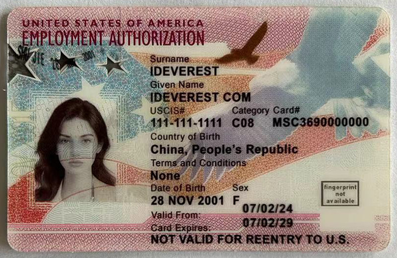 Fake Employment Authorization Cards