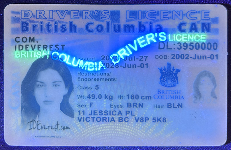 Canadian Driver's License – British Colu