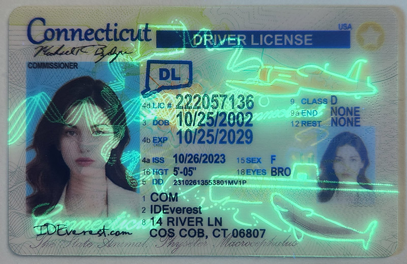 Where to Buy a Fake ID and How to Tell Its Quality